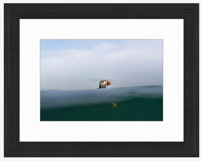 Top of the Wave, puffin fine art print, A4