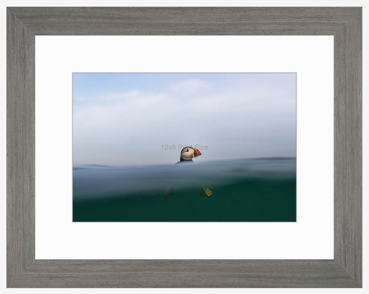 Top of the Wave, puffin fine art print, A4